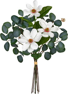 Villa Como  ԑ A[gt[ u[P tFCNO[ CeAO[ [J N Y  lHϗtA Mtg ̓ ʉ 6{ (N[J)