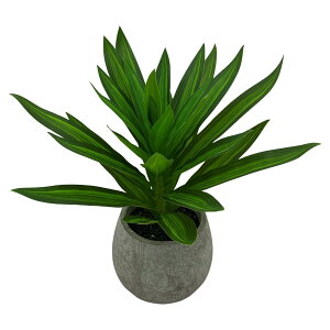 L[t(Q-FLA) ϗtA tFCN O[ ~j ϗt |bg E  RpNg  lHϗtA sv  CeA M 826436