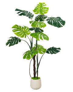 ^lHXefVITtFCNvg zCgv^[t 5tB[g tFCNtAvg tFCNgsJc[ |bgt  O ItBX nEX rO