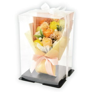 |s[É \[vt[ V{t[  Mtg v[g u[P o ԑ 27cm NAP[Xt SH-020 IW