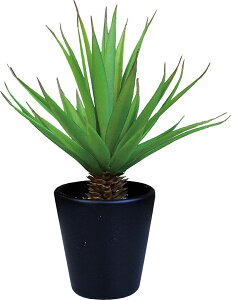 P[ACWp CeAO[ G}  ϗtA Z`[ W15×D15×H19cm (Mtg{bNX) TS