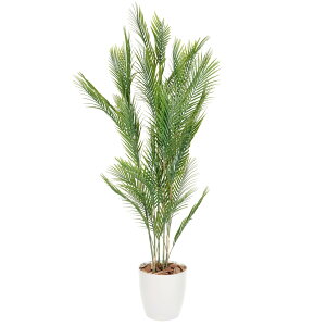 Botanical life+ tFCNO[ ϗtA G} { L R AJV 140cm NBV[Y