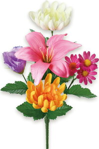 [ 2025N ] ފ ~ Q   d ފ ~  p 1 d dp p  e S  gRLLE fCW[  {  c39cm×18cm (fUCԃubVS (