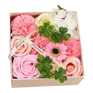 MAIBED  \[vt[ Mtg lC {bNX Ό  ͂Ȃ t[AWg  o^Cf[ zCgf[ a ̓ v[g (J[l[V-s