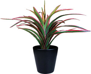 P[ACWpCeAO[ G}  ϗtAhZiW25×D52×H21cm(Mtg{bNX)TS