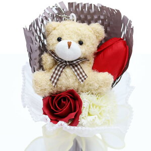 ̓̃v[glC  J[l[V ԂƉ o ԑ    v[g lC 70 Mtg ( x[W)