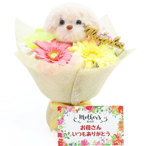 ̓̃v[glC  ̓ v[g  ԑ  w u[P v[g 蕨 Mtg \  v[h  lR ObY L ˂  K[x  ` c (ʃu[