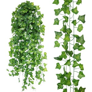 Syntelusa 12{Zbg   tFCNO[ ԃO[ lHϗtA ΂̗t Ǌ| ACr[ lHA CeA  ݂ /ƒ/K[f t