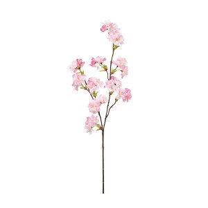 (Tokyodo)  ڂ̍ Ԍa3`5×L60×W20cm 1 FM002297-zzz