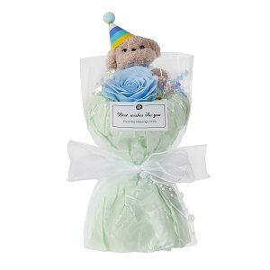   ʂ Ό  Mtg{bNX v[g ԑ a o^C F   蕨 \[vt[  PVC   bsO  Mtg ()