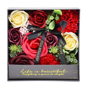 yHƁzAeB[NV{BOX \[vt[ AWg ͂Ȃ o 蕨 v[g Mtg GM-4675 (bh)