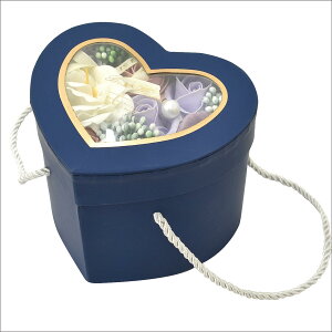 |s[É \[vt[ V{t[  Mtg v[g t[{bNX o n[g^ box 14.5cm t SBL-195 lCr[