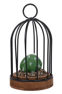 ~jT{e ϗtA ^Cv e[u܂A{IȂǂ 킢|Cg (ij)