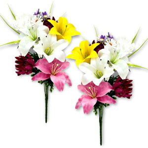 y 2025N   z  `t[ ފ 2g EΏ  ݉   Q ~ (FP-0972)