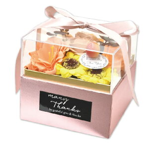 |s[É \[vt[  ԑ Mtg V{t[ SH-025 CG[