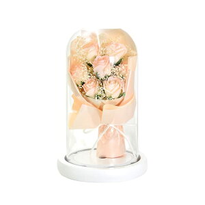 |s[É \[vt[ V{t[  Mtg v[g 7փu[P o ԑ 21cm KXh[t SBL-196 sN