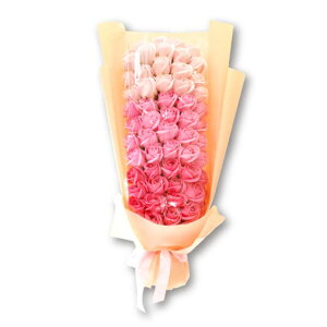 |s[É \[vt[ V{t[  Mtg v[g u[P o ԑ 65cm pP[Xt MK-010 sN