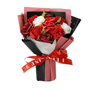 \[vt[ ̓ v[g ԑ KN J[l[V V{t[ Mtg t[u[P Ό   o t[Mtg  e ޏ l 킢 