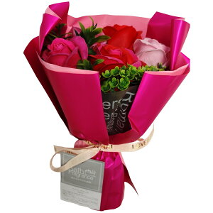 L[t(Q-FLA) \[vt[  oXtOX NAobOu[P RE bh ԑ KN ̓ Mtg v[g 812200