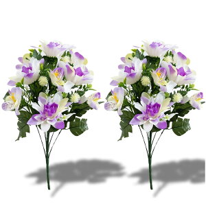 Leap Raupe p dp    p d ԑ 2{Zbg p ւsv 