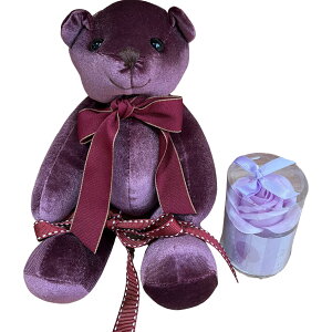 L[t(Q-FLA) \[vt[  GKg xA GWF ʂ Zbg p[v ̓ Mtg v[g 833090