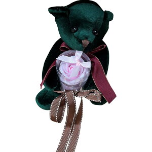 L[t(Q-FLA) \[vt[  GKg xA GWF ʂ Zbg sN ̓ Mtg v[g 833120