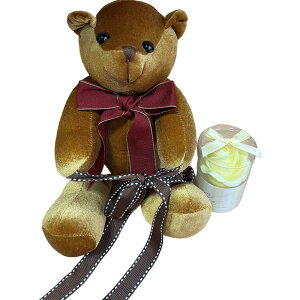 L[t(Q-FLA) \[vt[  GKg xA GWF ʂ Zbg CG[ ̓ Mtg v[g 833113