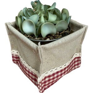 L[t(Q-FLA) ϗtA tFCN O[ gbvV[^[r[ |bg Zbg MK`FbN RED  RpNg  lHϗtA sv  CeA M 833007