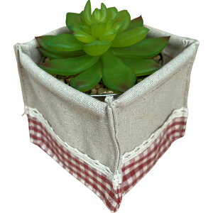 L[t(Q-FLA) ϗtA tFCN O[ GPxA |bg Jo[ Zbg MK`FbN RED  RpNg  lHϗtA sv  CeA M 833014