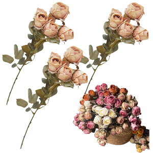 YiyiLai 3{  hCt[ {  tFCNt[ ԑ ͂Ȃ  CeA KN sN-F