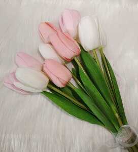  ͂Ȃ `[bv CeA Mtg ؂Ȑl֊ӂ̋C` ԑ CeA 10{ lHԁAAȎG ܂Ŗ{̉Ԃ̂悤ȂƂƂG (OF