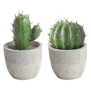 Wonderix T{e tFCN A ͌^ u 2Zbg ~jT{e tFCNO[ ϗtA A IuWF CeA