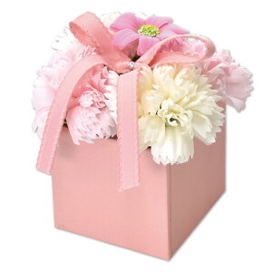 |s[É \[vt[ Mtg ~j {bNX  ͂Ȃ  v[g a ̓ CeA SH?082 sN