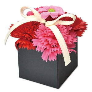 |s[É \[vt[ Mtg ~j {bNX  ͂Ȃ  v[g a ̓ CeA SH?082 bh