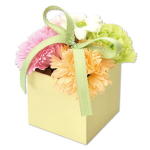 |s[É \[vt[ Mtg ~j {bNX  ͂Ȃ  v[g a ̓ CeA SH?082 O[