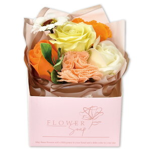 |s[É \[vt[ Mtg ԑ a v[g ̓ ͂Ȃ AWg 킢 bsO SH-080 CG[