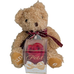 L[t(Q-FLA) oXtOX  ʂ  efBxA nbs[WG[xAMtg 6 N} ӂӂ v[g Mtg j 774799