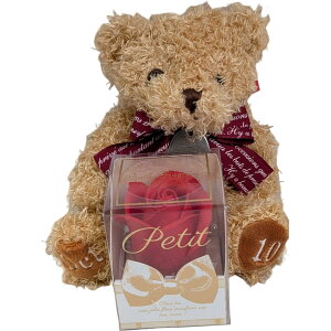 L[t(Q-FLA) oXtOX  ʂ  efBxA nbs[WG[xAMtg 10 N} ӂӂ v[g Mtg j 774836