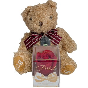 L[t(Q-FLA) oXtOX  ʂ  efBxA nbs[WG[xAMtg 8 N} ӂӂ v[g Mtg j 774812