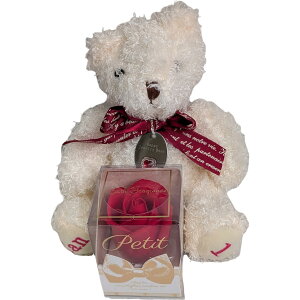 L[t(Q-FLA) oXtOX  ʂ  efBxA nbs[WG[xAMtg 1 N} ӂӂ v[g Mtg j 774744