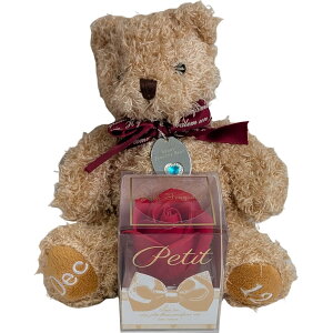 L[t(Q-FLA) oXtOX  ʂ  efBxA nbs[WG[xAMtg 12 N} ӂӂ v[g Mtg j 774850