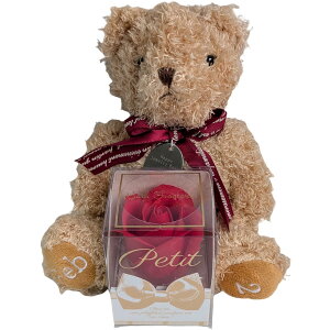 L[t(Q-FLA) oXtOX  ʂ  efBxA nbs[WG[xAMtg 2 N} ӂӂ v[g Mtg j 774751