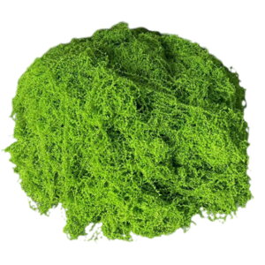 All Trust  RP tFCNO[ X WI}  ϗtA  ~ 150g (CgO[)