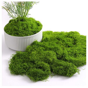 tFCNX lH XO[ 200g   tFCNO[ ϋv ͂Ȃ lHϗtA   DIY H|i  peBI  K[fjO eE A WI} 