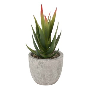 CAPASTEC tFCNO[ CeAO[ A lH bsv  ~j A  킢  fXN oX[ Lb` Type 6