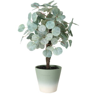 Vixplorn ϗtA tFCNO[ AA A 40cm lHϗtA t AA A  CeA  Vzj a v[g