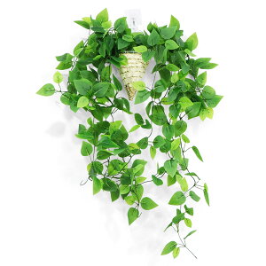 Vixplorn ϗtA IESJY ݂艺 Ǌ| tFCNO[ S100cm lHϗt  CeA  rO ItBX Lb` p