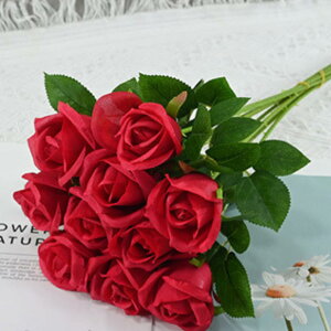  o [Yԑ 10{Zbg KN ԑ o^Cf[ ͂Ȃ }`bN ԃu[P ԏ A[gt[ ʐ^ ̓  a j v[g Q I