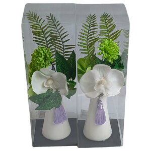 L[t(Q-FLA) \[vt[ Ԃт C 2Zbg Mtg   d O ̋ 831256