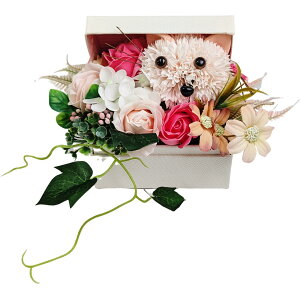 L[t(Q-FLA) \[vt[  Lbg{bNX B ̓ 蕨 Mtg v[g j a AW 776946